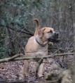 /album/anka/kleine-bos-26-jpg/